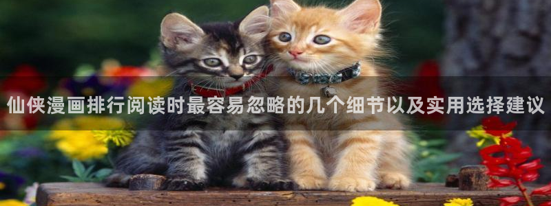 免费国漫:仙侠漫画排行阅读时最容易忽略的几个细节以及实用选择建议