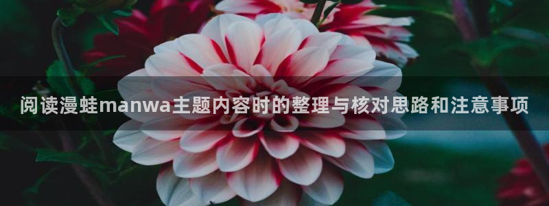 在线韩漫:阅读漫蛙manwa主题内容时的整理与核对思路和注意事项