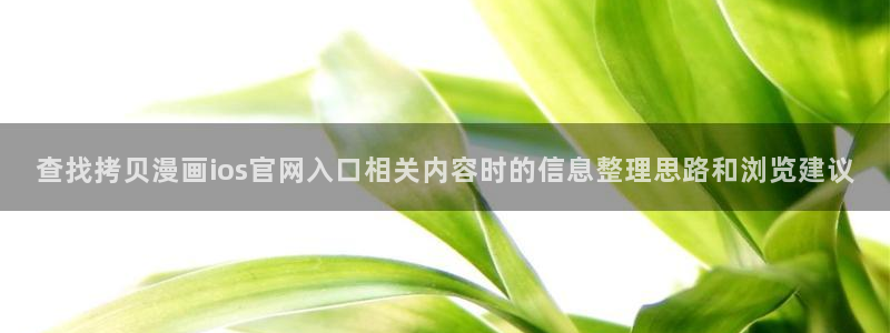 漫画app：查找拷贝漫画ios官网入口相关内容时的信息整理思路和浏览建议