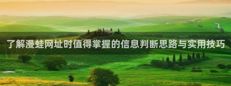 在线国漫