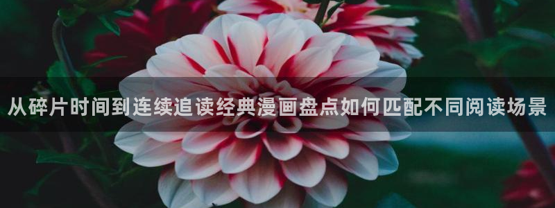 漫画大全:从碎片时间到连续追读经典漫画盘点如何匹配不同阅读场景